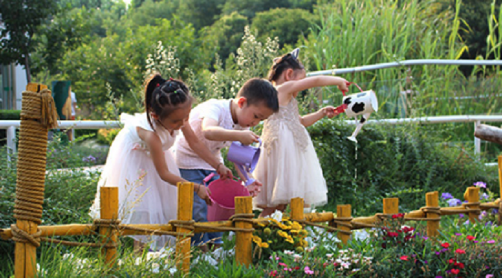 大自然是孩子們在幼兒園時光里最美好的相遇